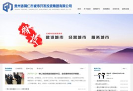 亭湖城市开发投资集团有限公司