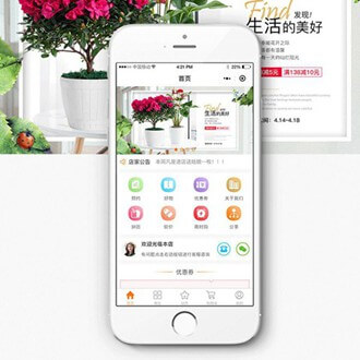 亭湖门店微商城小程序开发