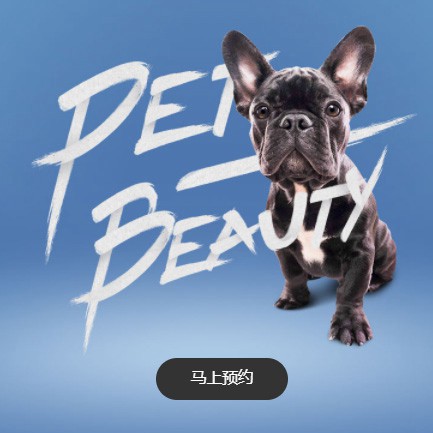 亭湖宠物中心小程序开发